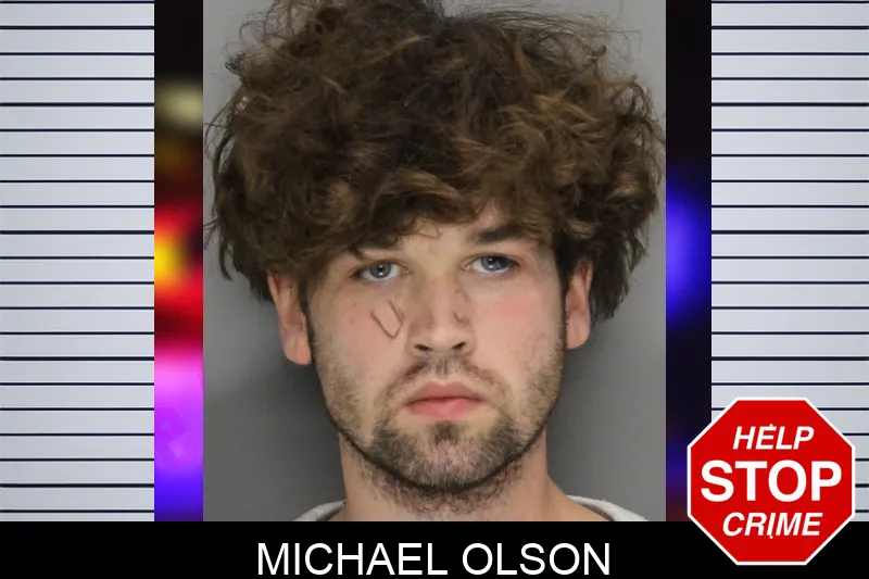 Michael Olson Mugshots