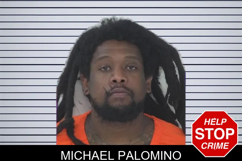 Michael Palomino mugshot