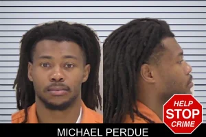 Michael Perdue mugshot