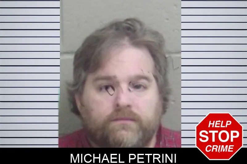 Michael Petrini Mugshots