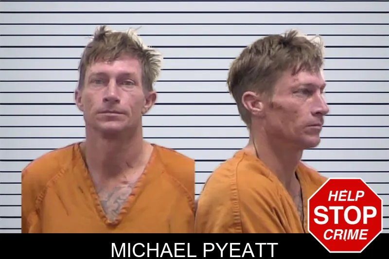 Michael Pyeatt mugshot