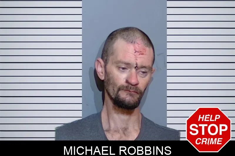 Michael Robbins mugshot