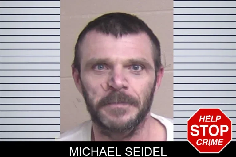 Michael Seidel