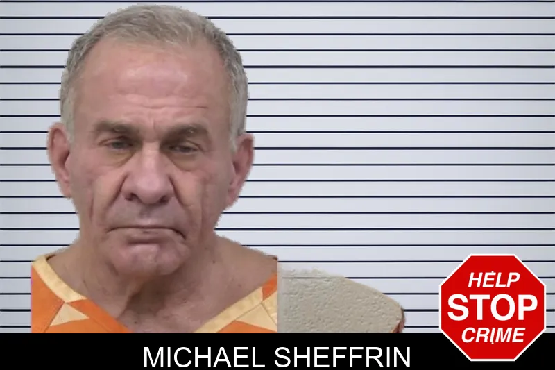 Michael Sheffrin Mugshots