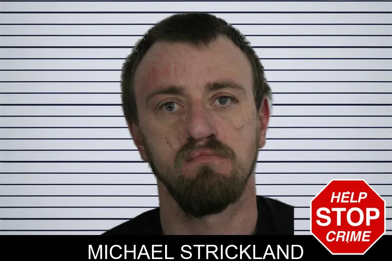 Michael Strickland Mugshots