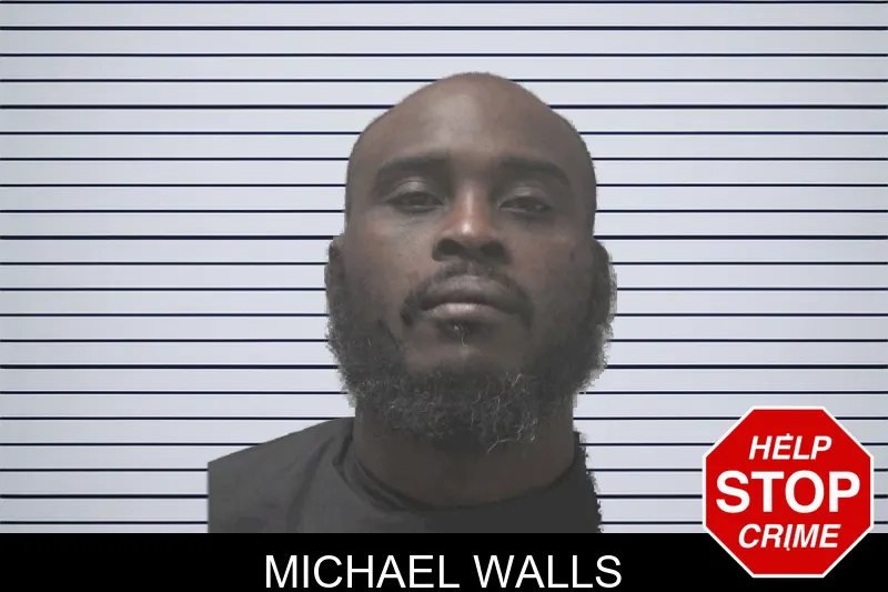 Michael Walls mugshot
