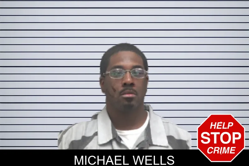 Michael Wells Mugshots