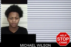 Michael Wilson mugshot