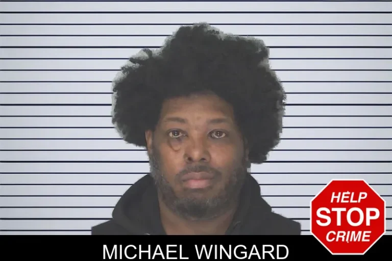 Michael Wingard