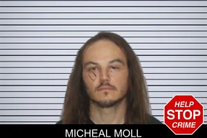 Micheal Moll mugshot