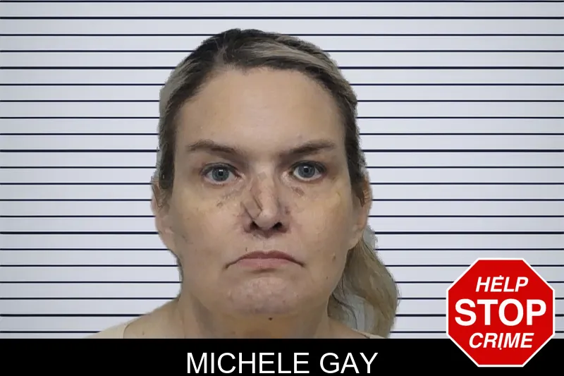 Michele Gay mugshot