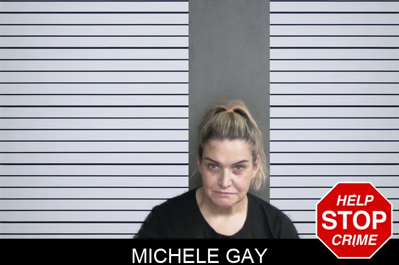 Michele Gay Mugshots