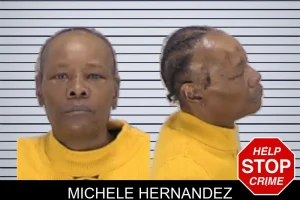 Michele Hernandez mugshot