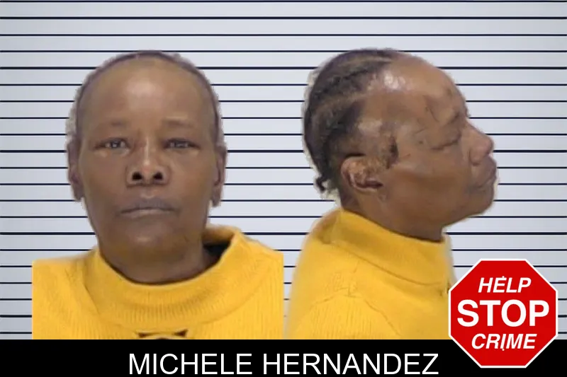 Michele Hernandez Mugshots