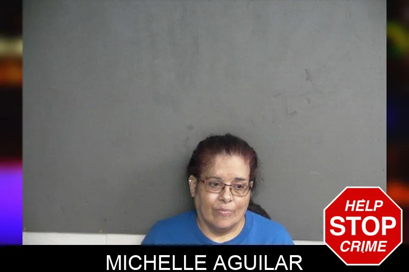 Michelle Aguilar Mugshots