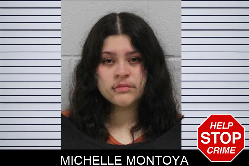 Michelle Montoya Mugshots