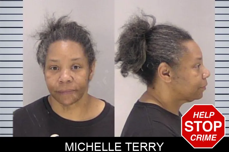 Michelle Terry Mugshots