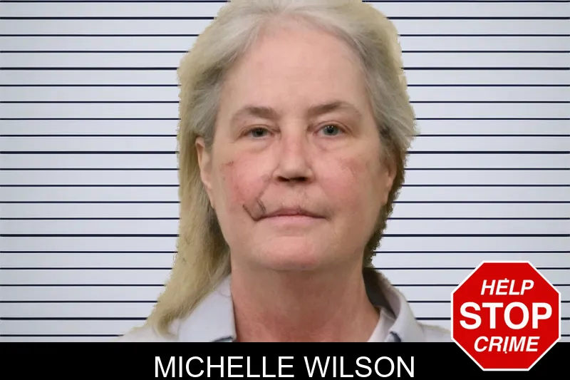 Michelle Wilson mugshot – Bulloch County , Georgia Michelle Wilson mugshot