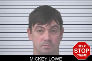 Mickey Lowe mugshot