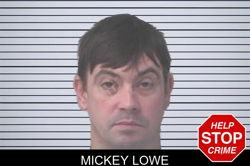 Mickey Lowe Mugshots