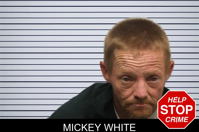 Mickey White mugshot – Chatham County , Georgia Mickey White mugshot