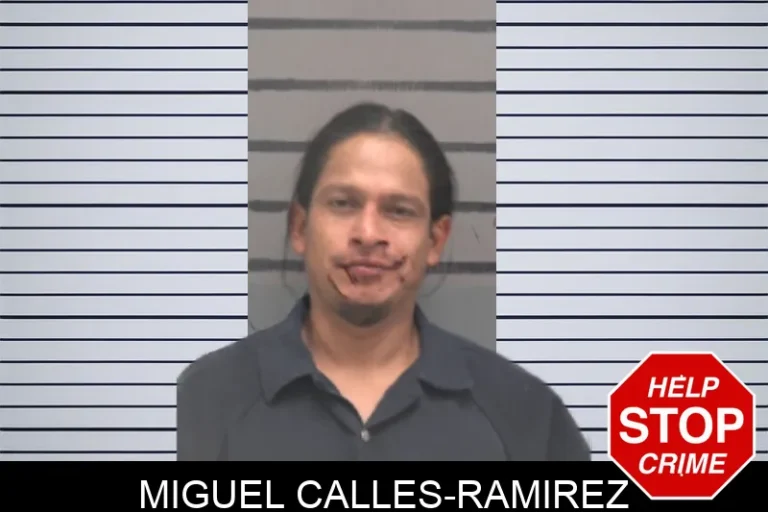 Miguel Calles-Ramirez