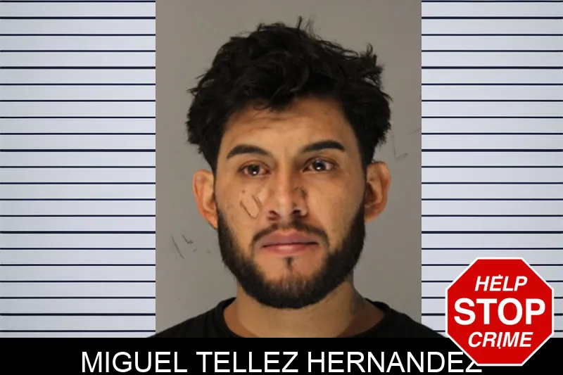 Miguel Tellez Hernandez Mugshots
