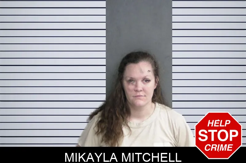 Mikayla Mitchell Mugshots