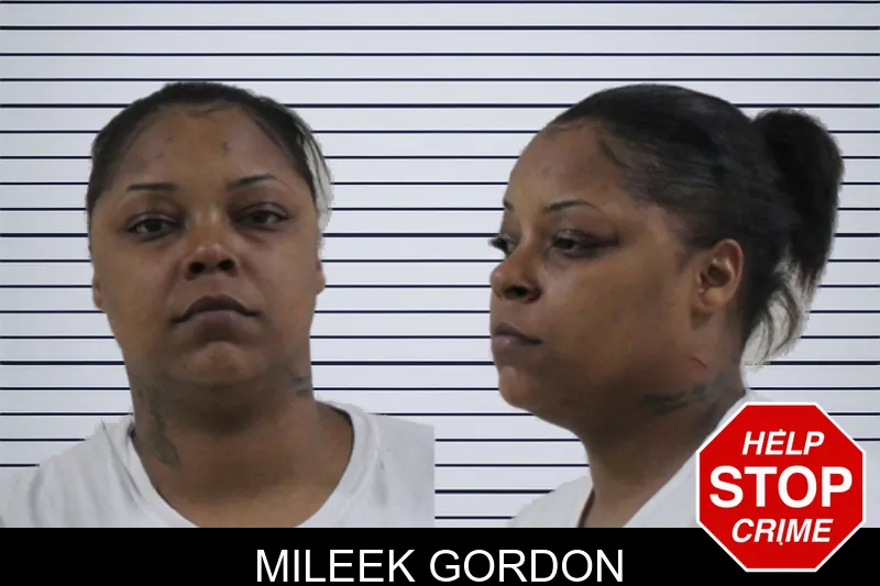 Mileek Gordon mugshot – Houston County , Georgia Mileek Gordon mugshot