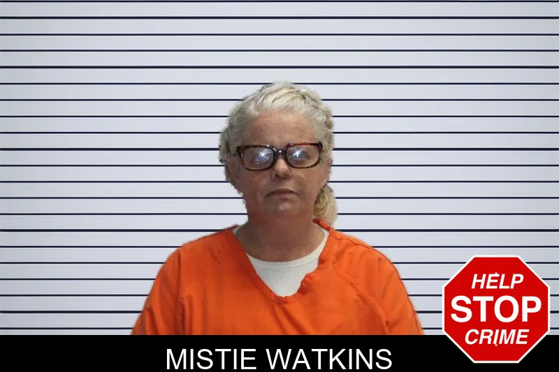 Mistie Watkins Mugshots