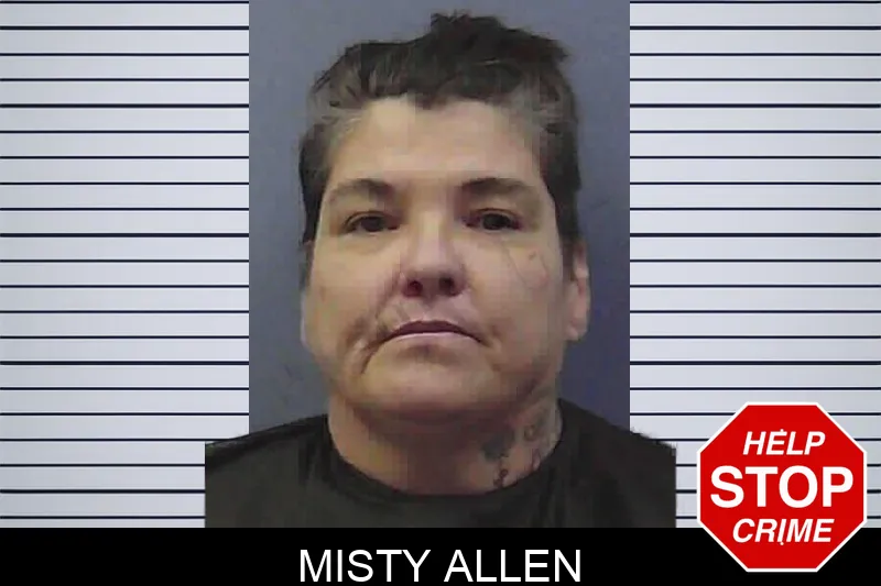 Misty Allen Mugshots