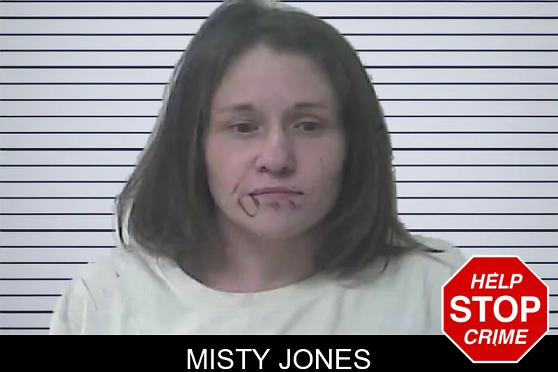 Misty Jones Mugshots