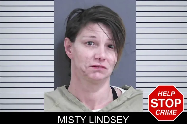 Misty Lindsey mugshot – Gordon County , Georgia Misty Lindsey