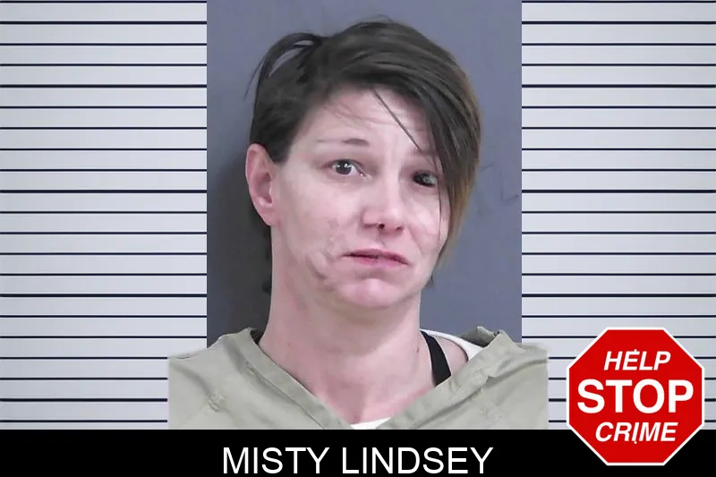 Misty Lindsey mugshot – Gordon County , Georgia Misty Lindsey mugshot