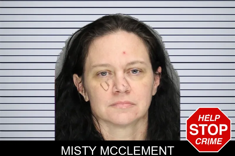 Misty McClement mugshot – Cobb County , Georgia Misty McClement mugshot