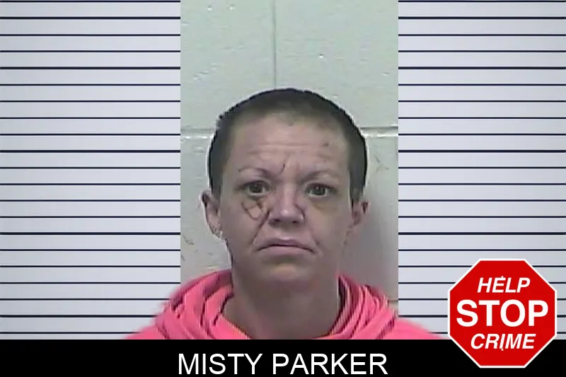 Misty Parker Mugshots