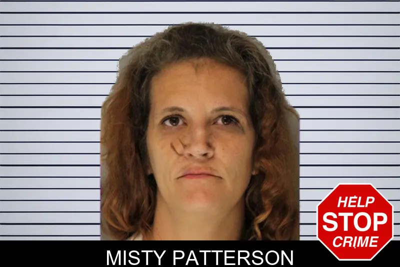 Misty Patterson Mugshots