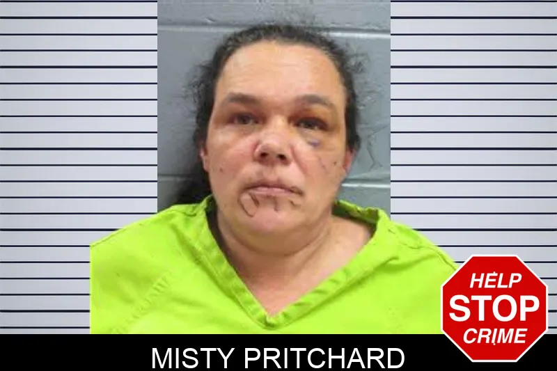 Misty Pritchard Mugshots