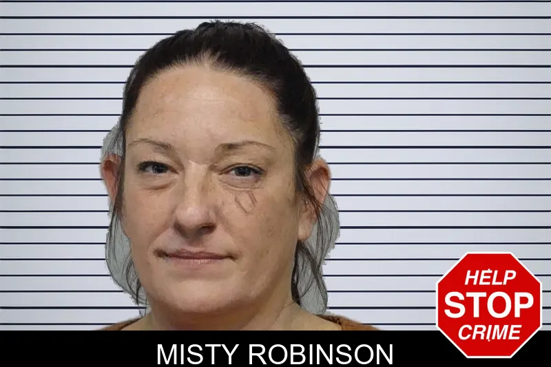 Misty Robinson mugshot – Bibb County , Georgia Misty Robinson mugshot