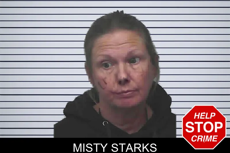 Misty Starks mugshot