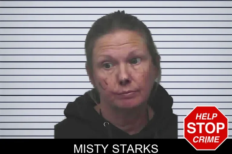 Misty Starks mugshot – Lanier County , Georgia Misty Starks