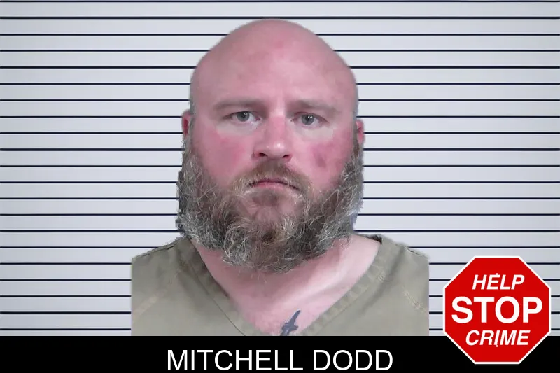 Mitchell Dodd mugshot