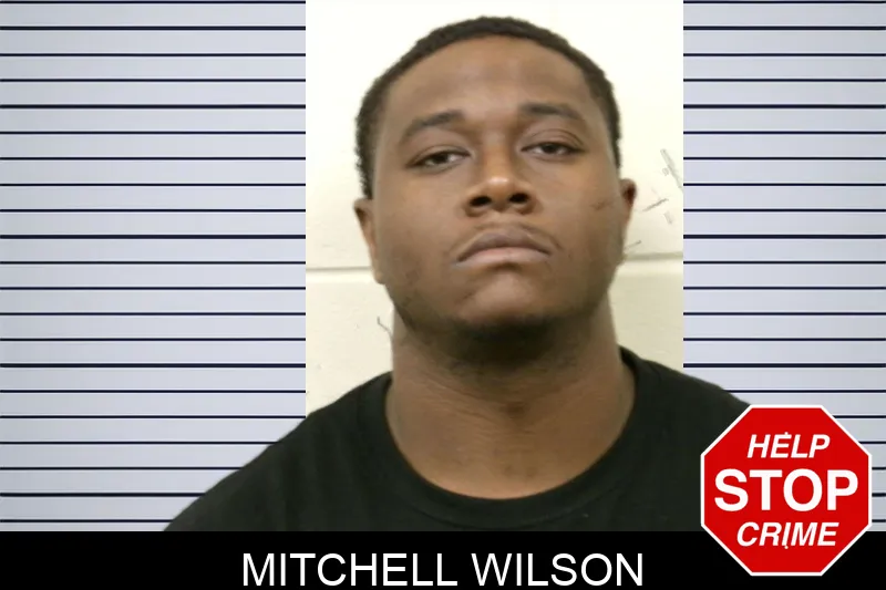 Mitchell Wilson mugshot – Bulloch County , Georgia Mitchell Wilson mugshot