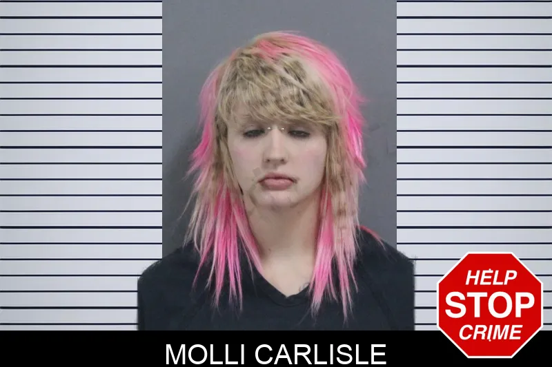 Molli Carlisle mugshot