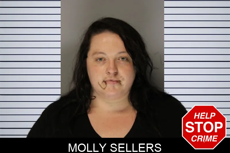 Molly Sellers Mugshots