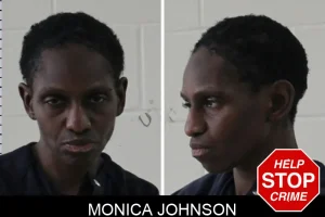 Monica Johnson mugshot
