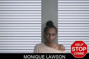 Monique Lawson mugshot