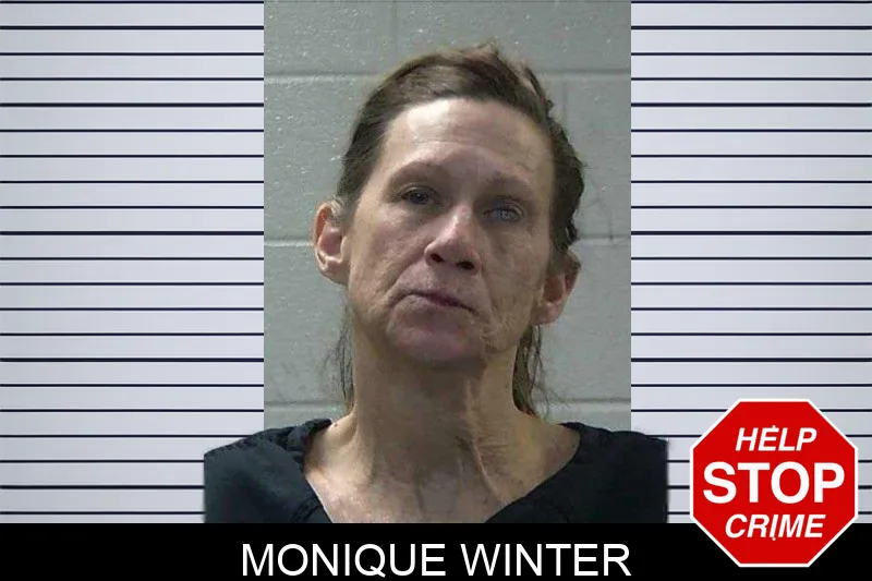 Monique Winter Mugshots