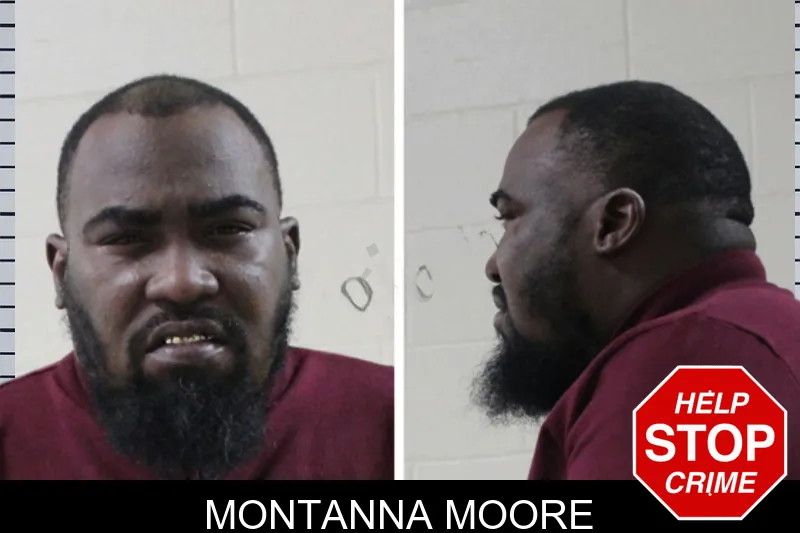 Montanna Moore Mugshots