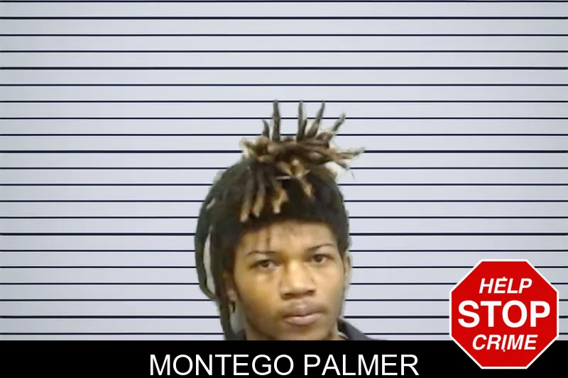 Montego Palmer mugshot